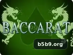 b5b9 Aplicativo - b5b9 visual 2
